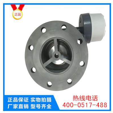 防爆金屬管轉子流量計